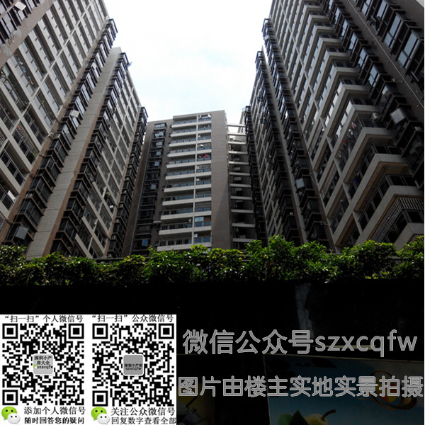 龙岗小产权房 龙岗小产权房